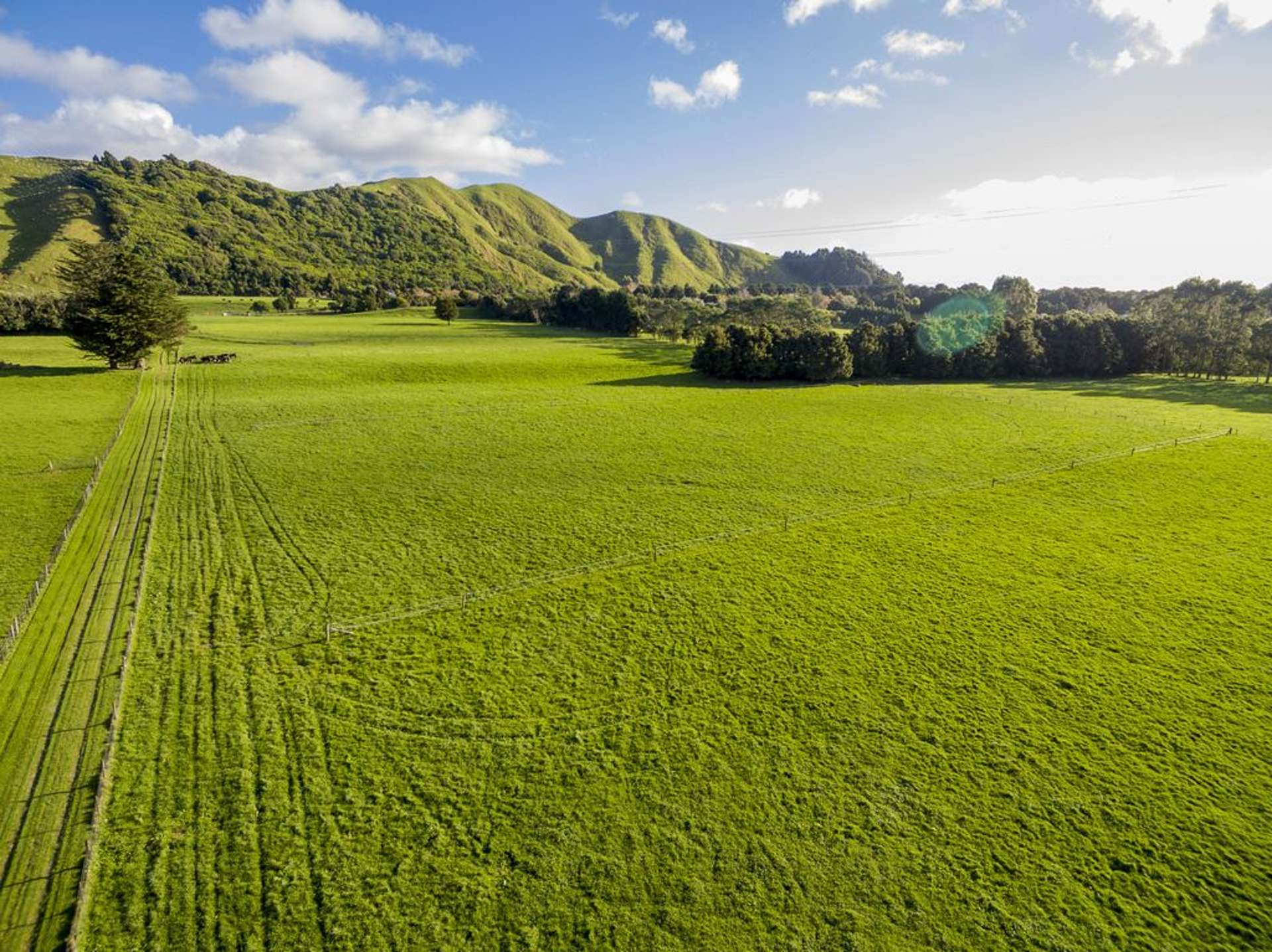 583 Otaki Gorge Road Otaki_0