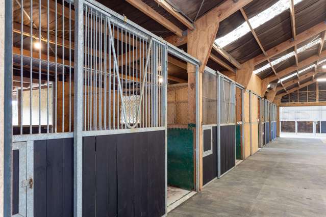 235B Tramway Road Pukekohe_3