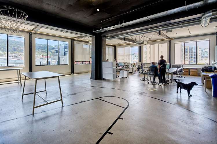 234 Wakefield Street Te Aro_28