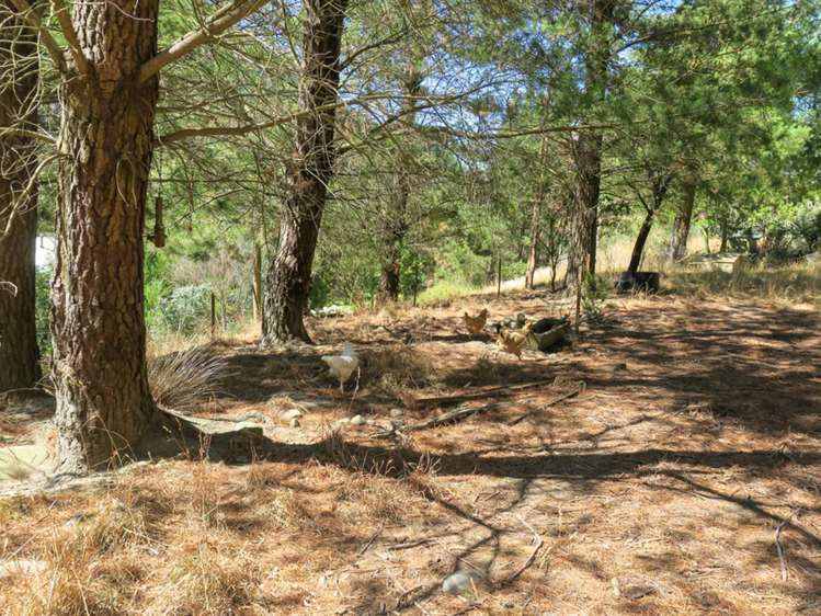 2716 Waihopai Valley Road Waihopai Valley_29