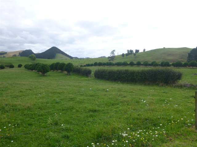 550a Trig Road Waihi_1