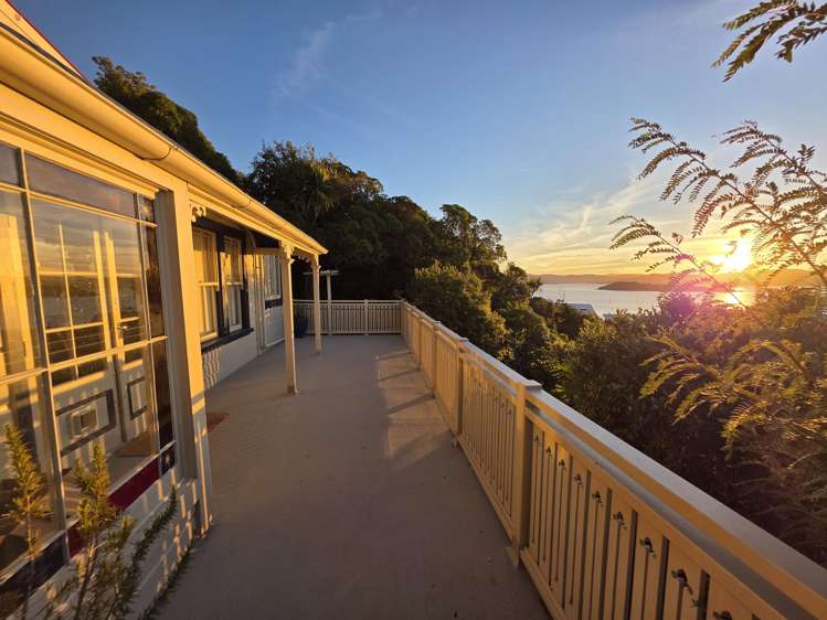 12 Nikau Road Eastbourne_17