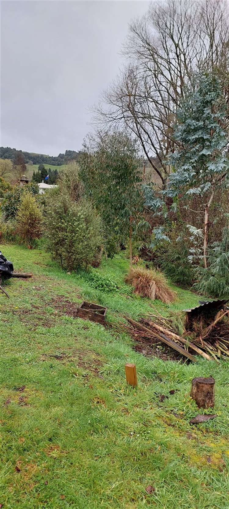 28 School Road Benneydale_5