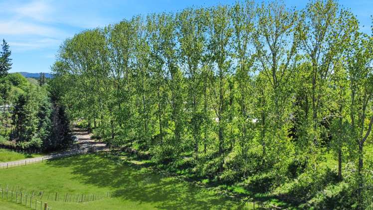 131B Hogg Road Rotoma_37