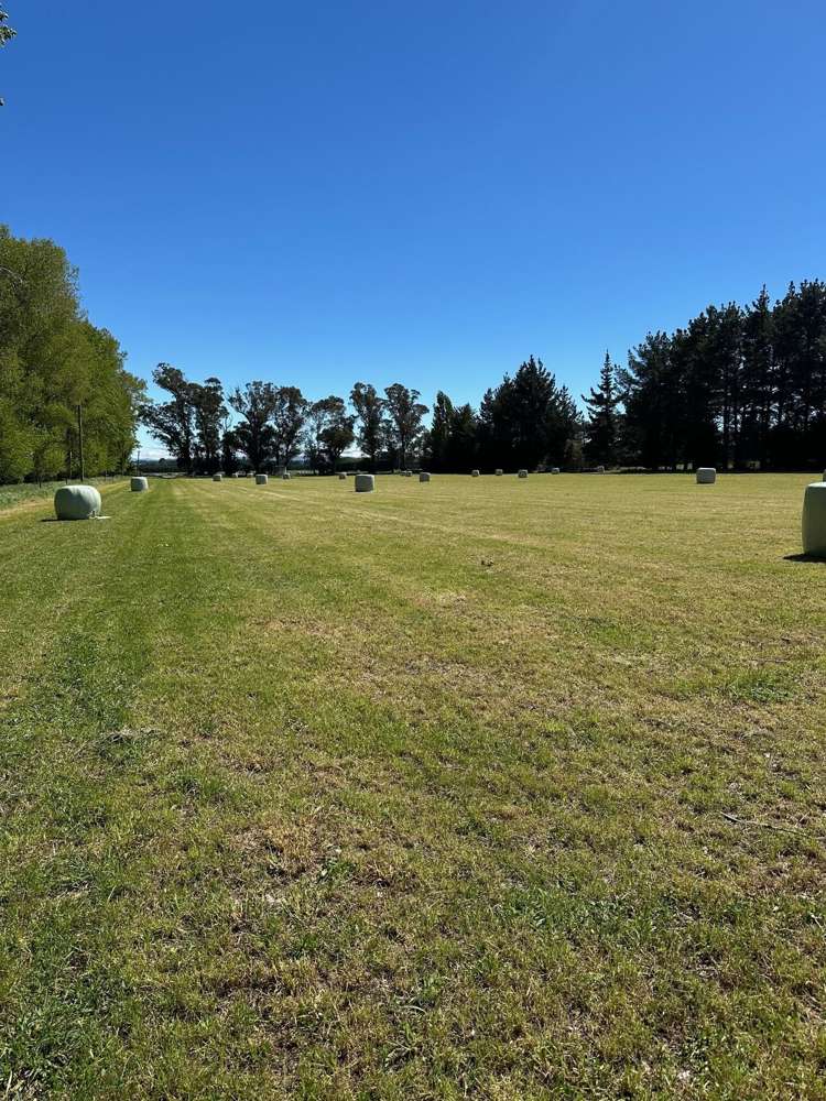 732 Rangiora Leithfield Road Leithfield_13