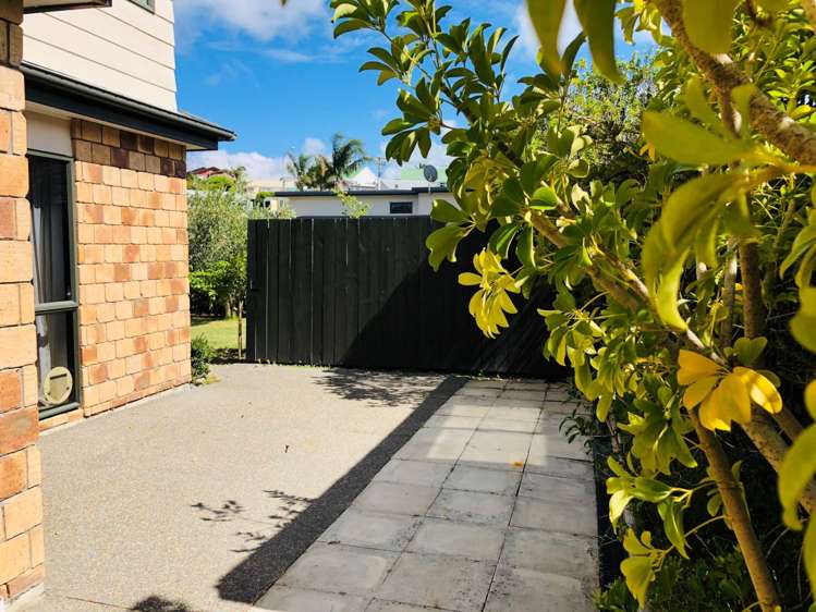 3a Brandon Road Manly_12