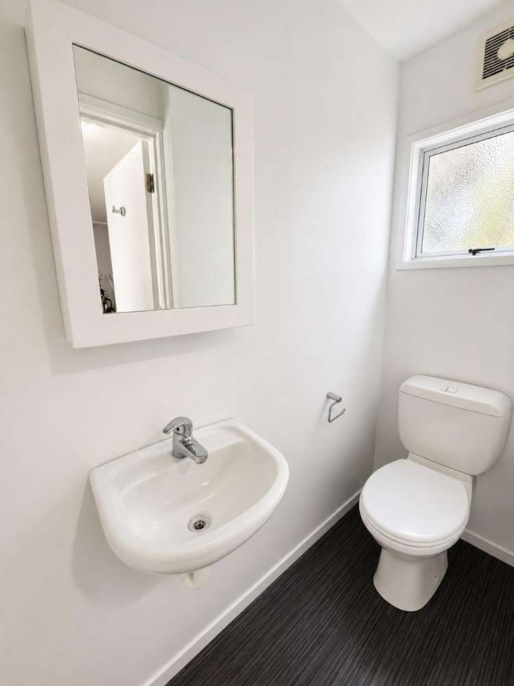 348A Horseshoe Bush Road Dairy Flat_16