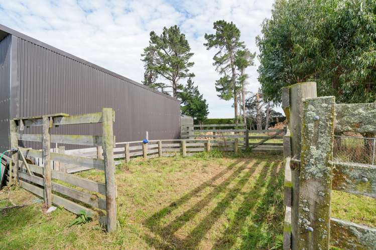 232 Crow Road Thomsons Crossing_23