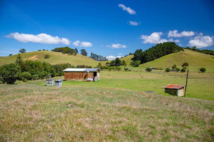 1905 Pataua North Road Pataua_7