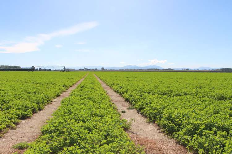 Naughton Road Kerrytown_7