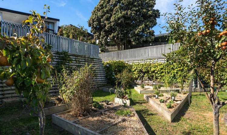 287 Cannon Hill Crescent Mount Pleasant_20