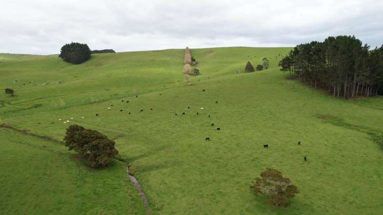 3902 State Highway 12 Dargaville Surrounds_0