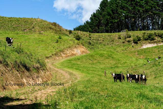 1-6/461 Otamarakau Valley Road Pukehina_3