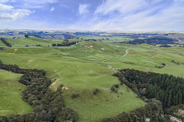 500 Willowford Road Waiwhare_17