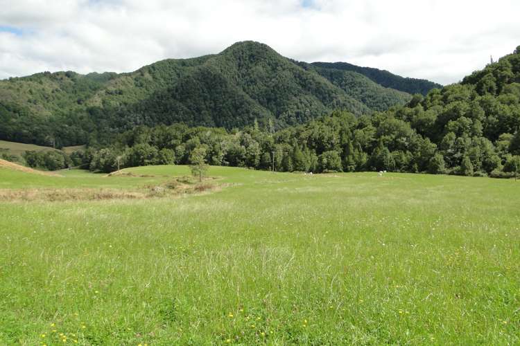 845 Shenandoah Highway Murchison_10