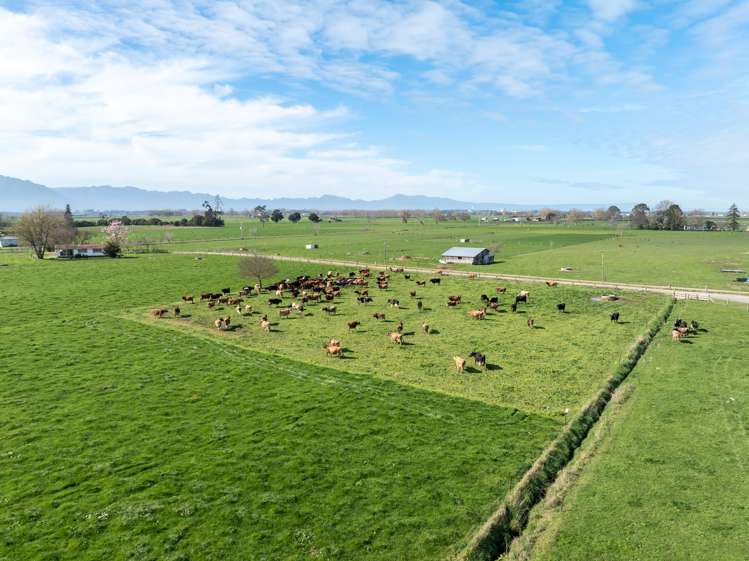 497 No. 7 Road Morrinsville_8