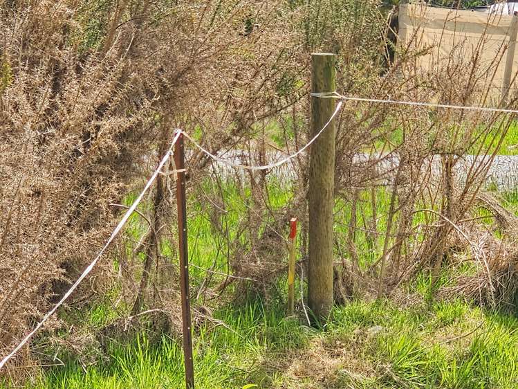 25 Greenstone Road Kumara_24