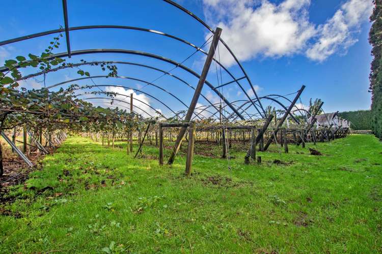 48 Austin Road Maunu_10