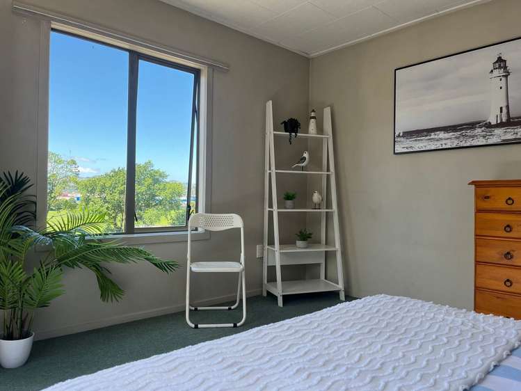 11A Maitland Street Dunedin Central_12
