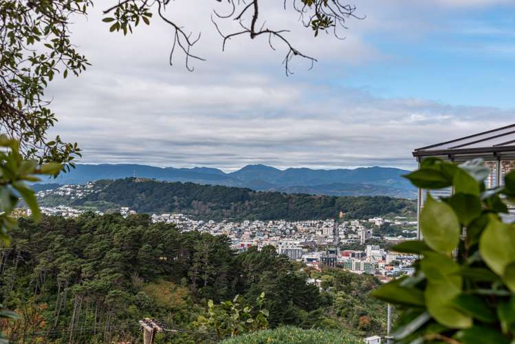 3 Ninian Street Highbury_19