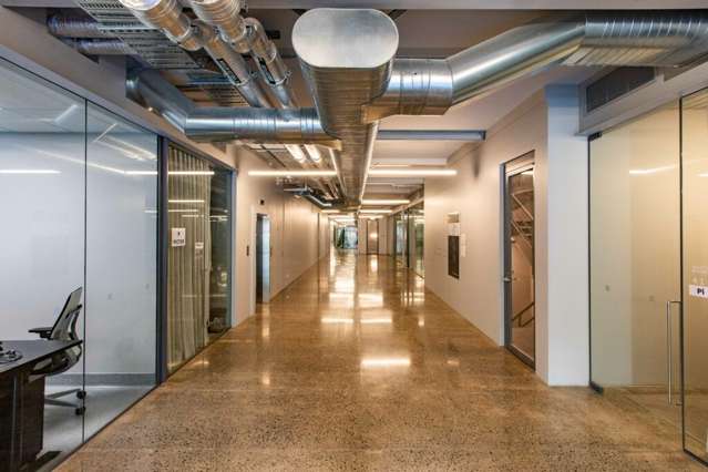 24 Balfour Road Parnell_2