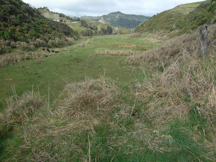 125 Te Mahoe Road Mokau_2