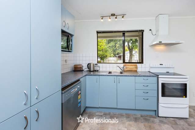 6 Gemstone Drive Birchville_4