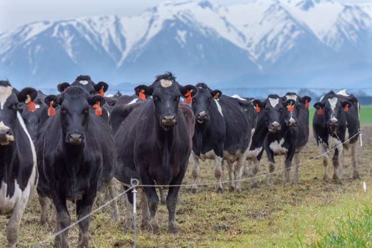 2915 West Coast Road Darfield_13