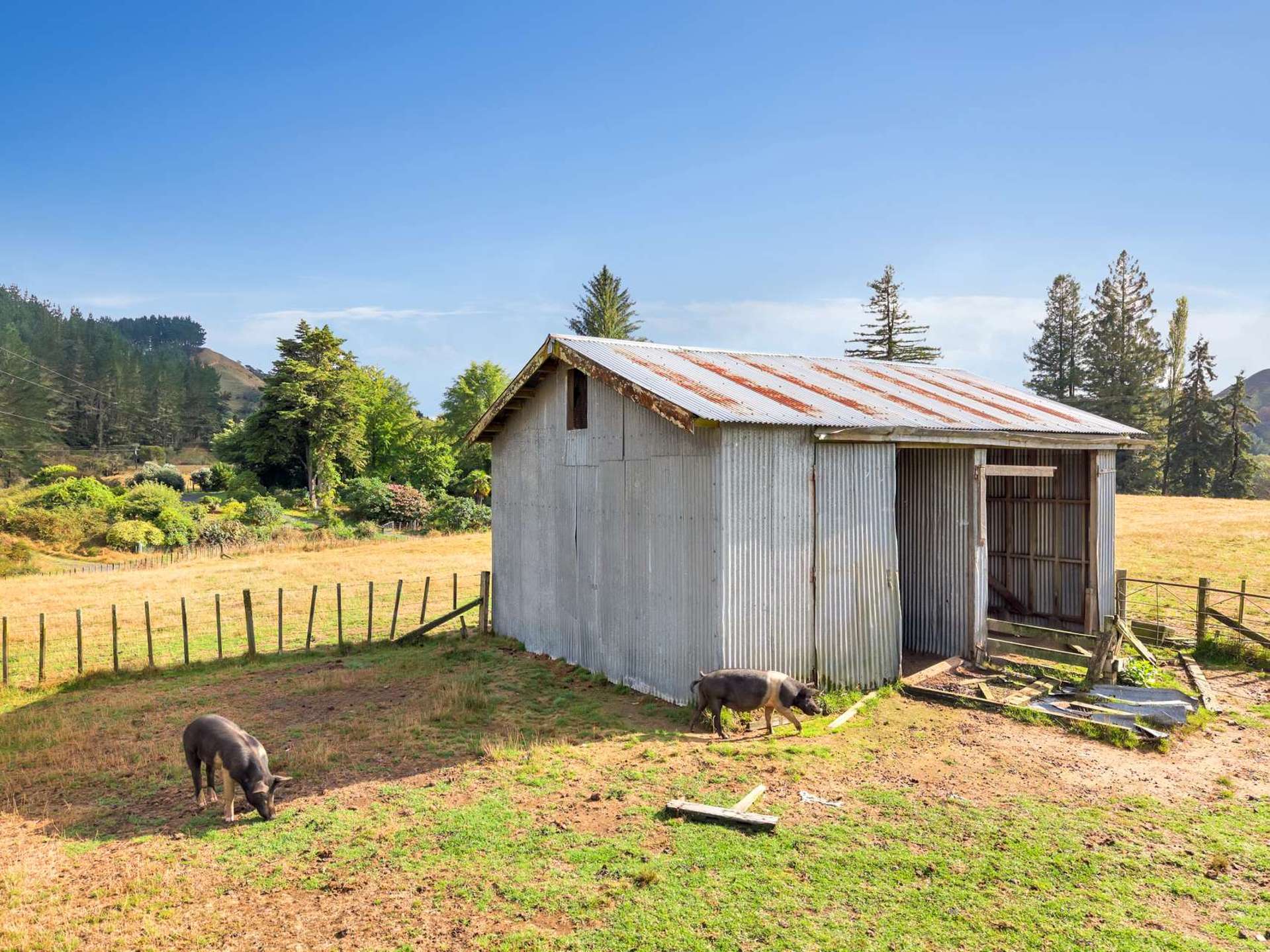 Okaihae Road Taumarunui_0