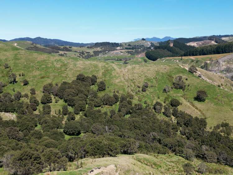 White Rock Road Martinborough_16