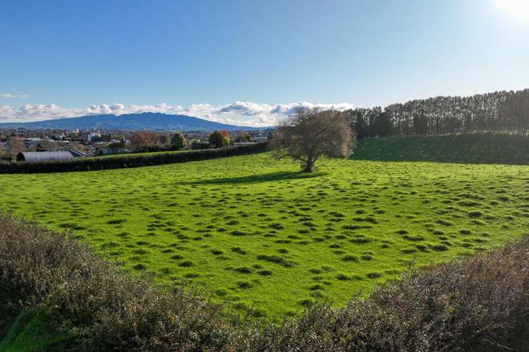 Picquet Hill Road Te Awamutu_9