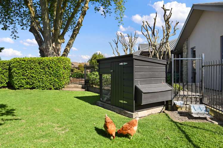 9 Glenroy Place Cambridge_27