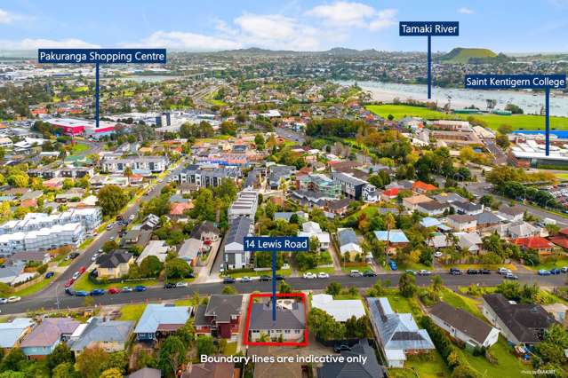 14 Lewis Road Pakuranga_1