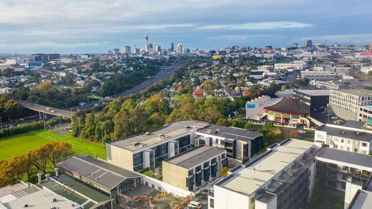  303/8 Kingsland Terrace Kingsland_10
