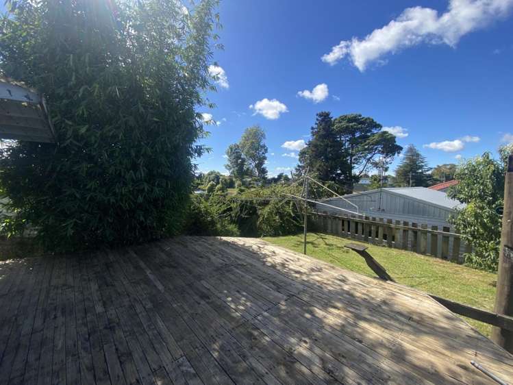 55 Mount View Road 1107_2