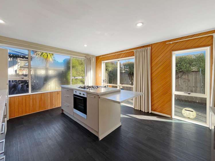 17 Sumner St Spreydon_4