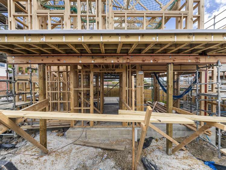 1, LOT 2&3 Amberley Ave Te Atatu South_10