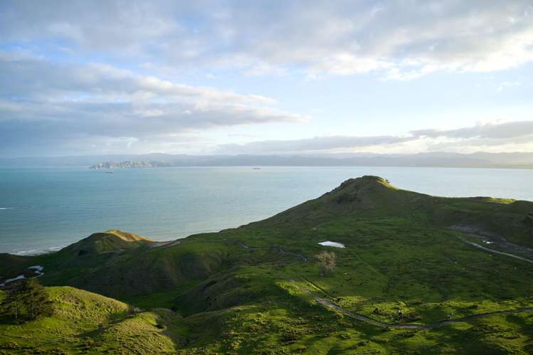 Lot 3/611 Wainui Road Wainui_33