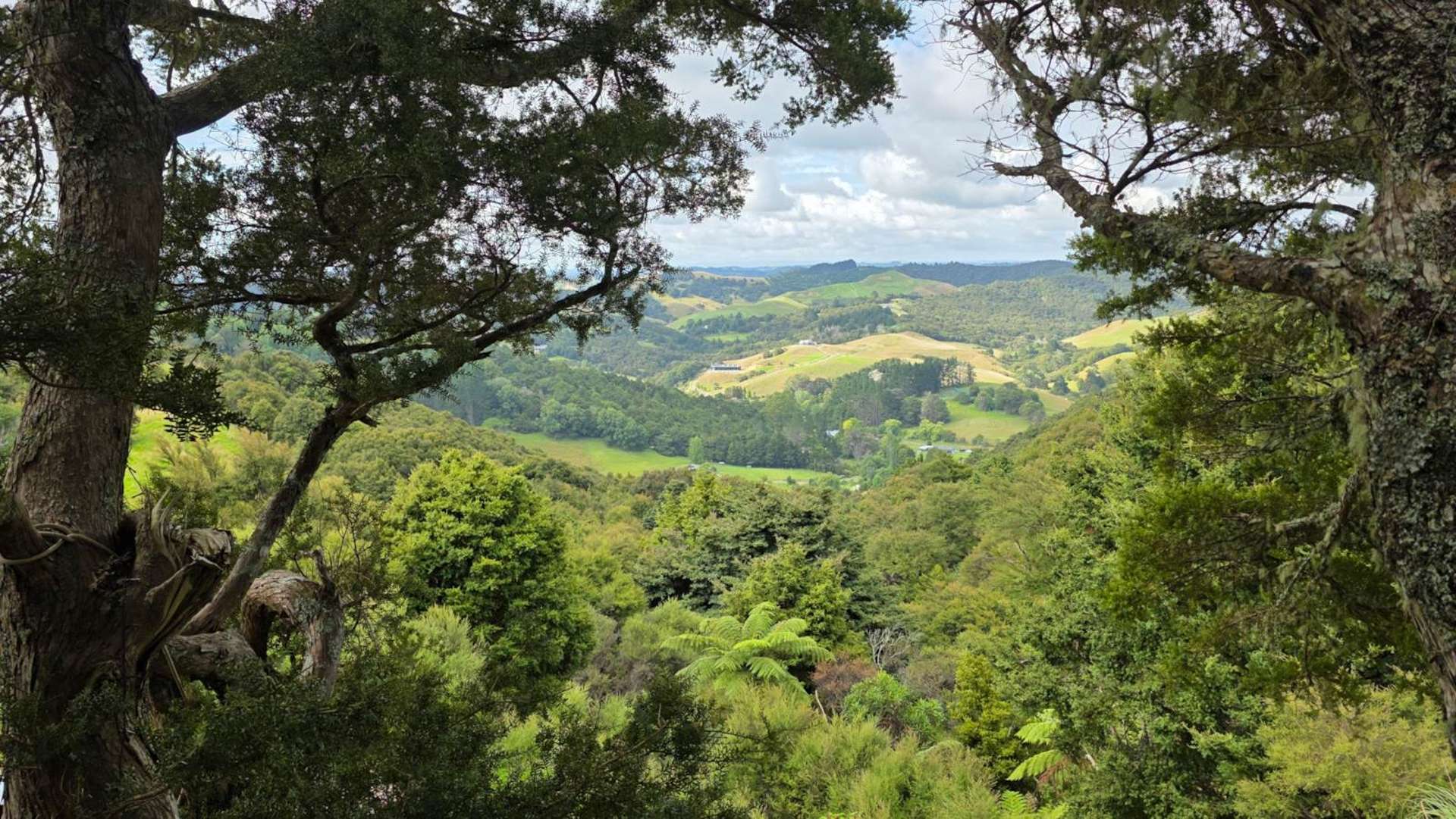 180 Noakes Hill Road Puhoi_0