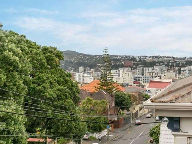 83a Majoribanks Street Mount Victoria_4