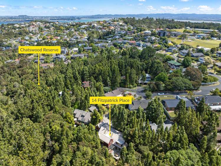 14 Fitzpatrick Place Chatswood_25