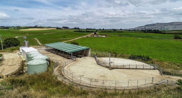 307 Okapua Road Chatton North_11