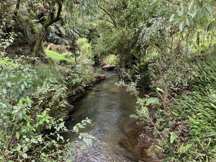 412 Bromley Road Otorohanga_10