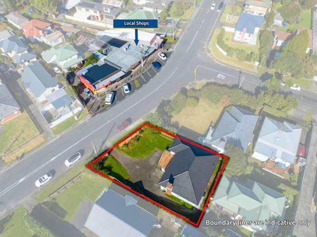 81 Melrose Road Mount Roskill_1