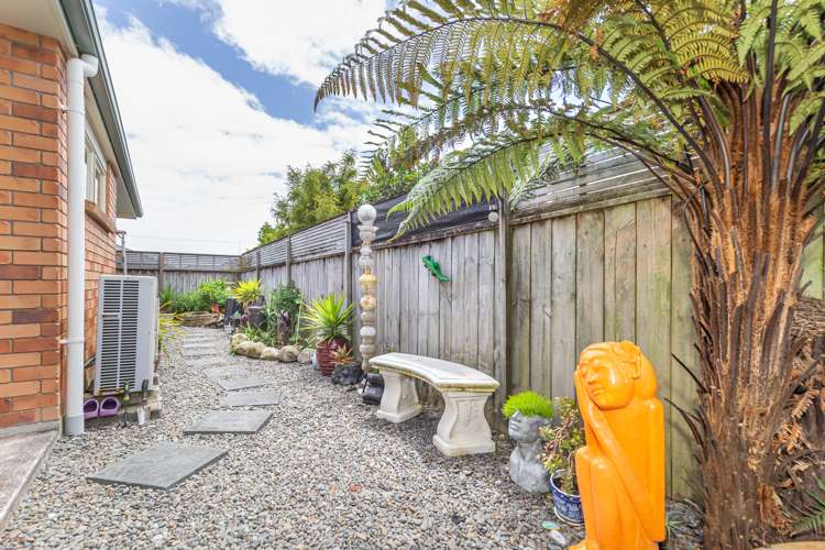 22b Reeve Street Levin_12