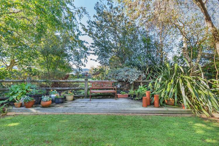 15 Homewood Avenue Levin_18