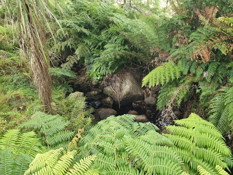 17b Okura Drive Kerikeri_12