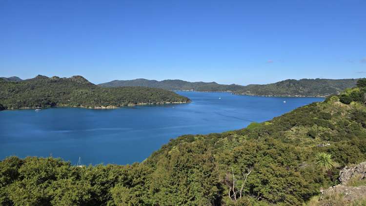 205 Kaiaraara Bay Road Great Barrier Island (Tryphena)_15