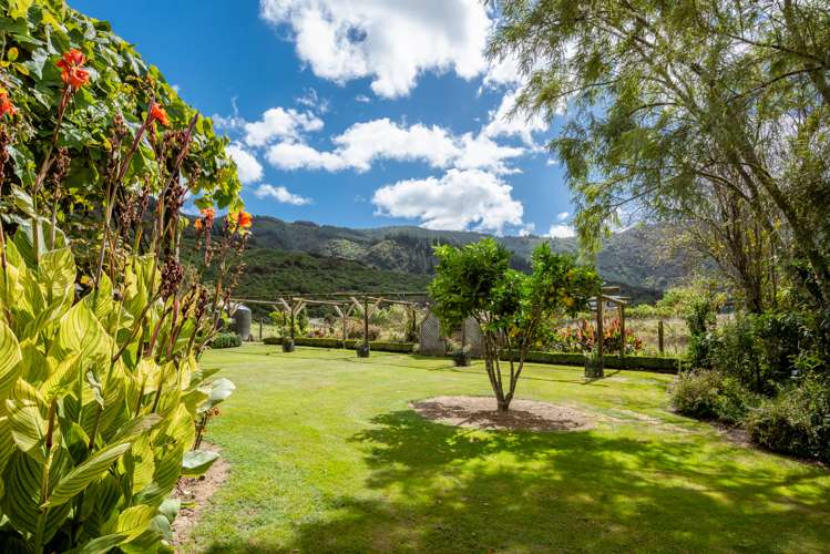 355 Anakiwa Road Anakiwa and Surrounds_6