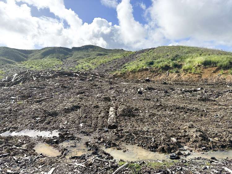 Waiotehue Road Herekino_4